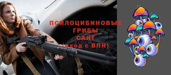 мдпв Саяногорск