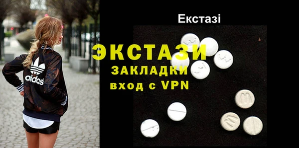 сатива Сатка