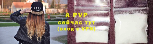 ПСИЛОЦИБИНОВЫЕ ГРИБЫ Жердевка