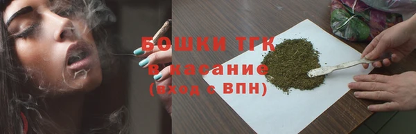 сатива Сатка