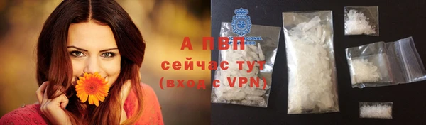 сатива Сатка