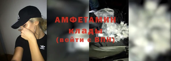 сатива Сатка