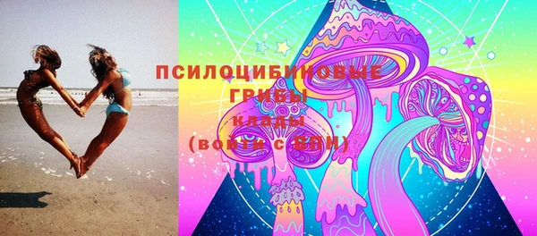 мяу мяу мука Сафоново