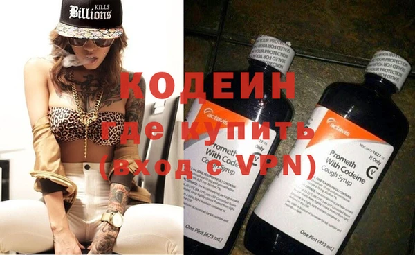 сатива Сатка