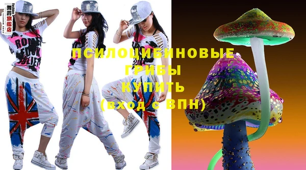 сатива Сатка