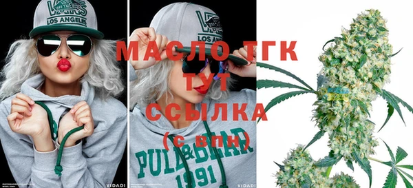 сатива Сатка