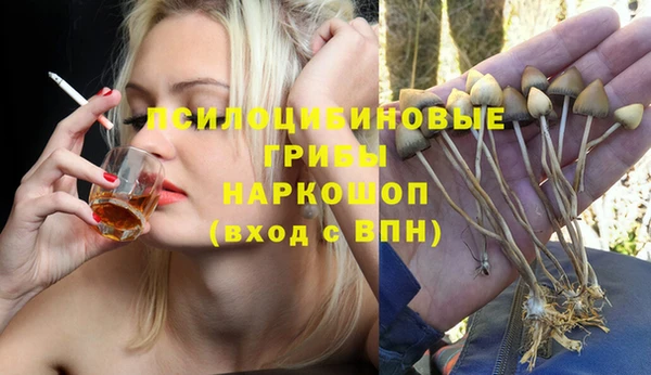 мдпв Саяногорск