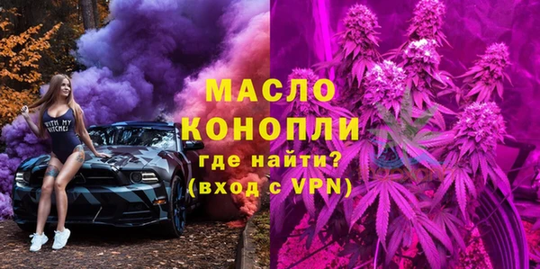 сатива Сатка