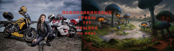 мдпв Саяногорск